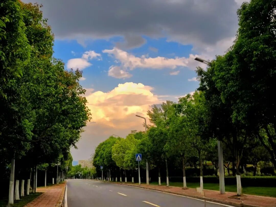 微信图片_20251124095040 微信图片_20251124095040