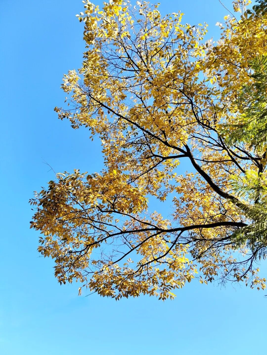 微信图片_20251124095049 微信图片_20251124095049