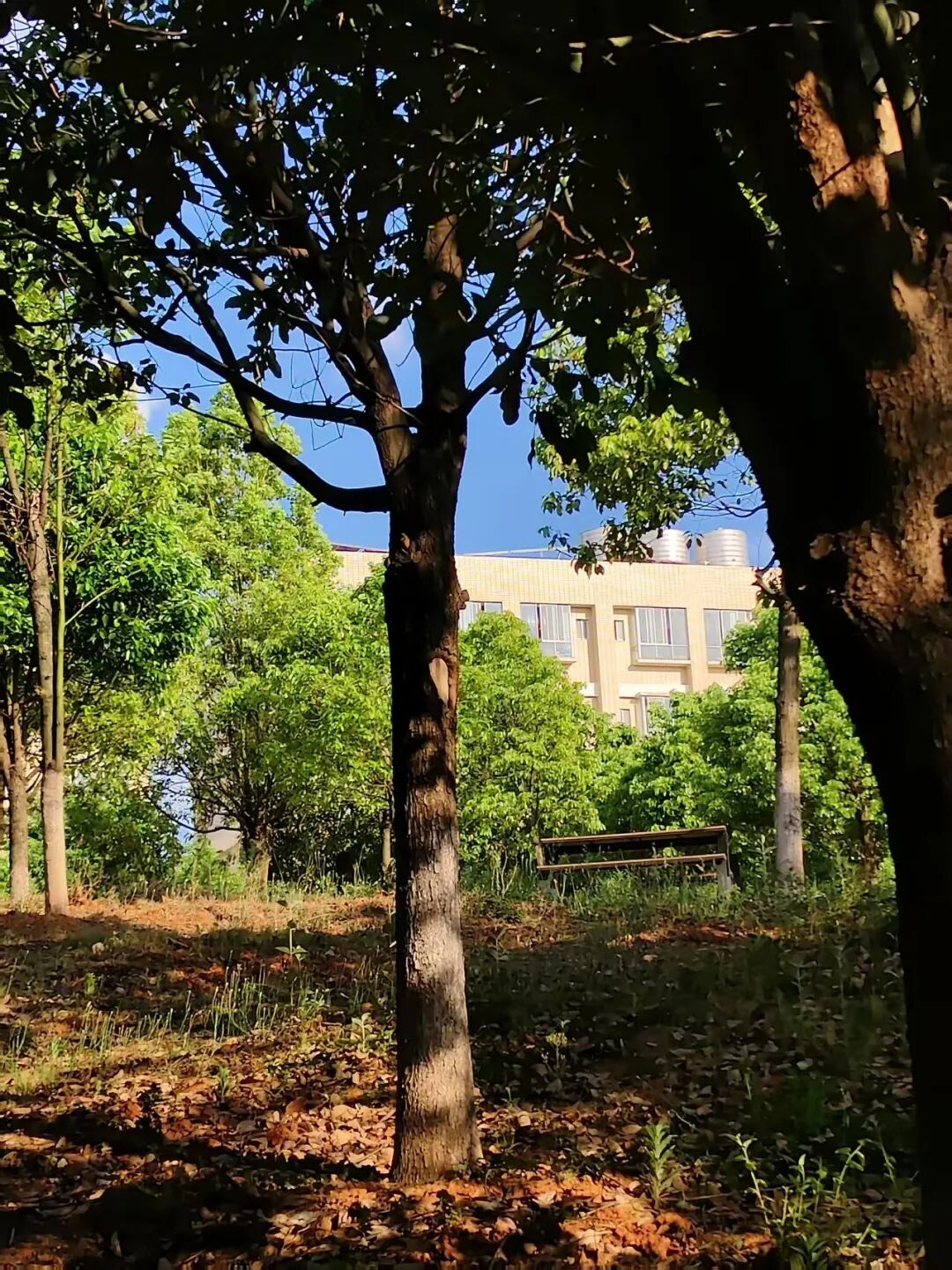 微信图片_20251124095043 微信图片_20251124095043