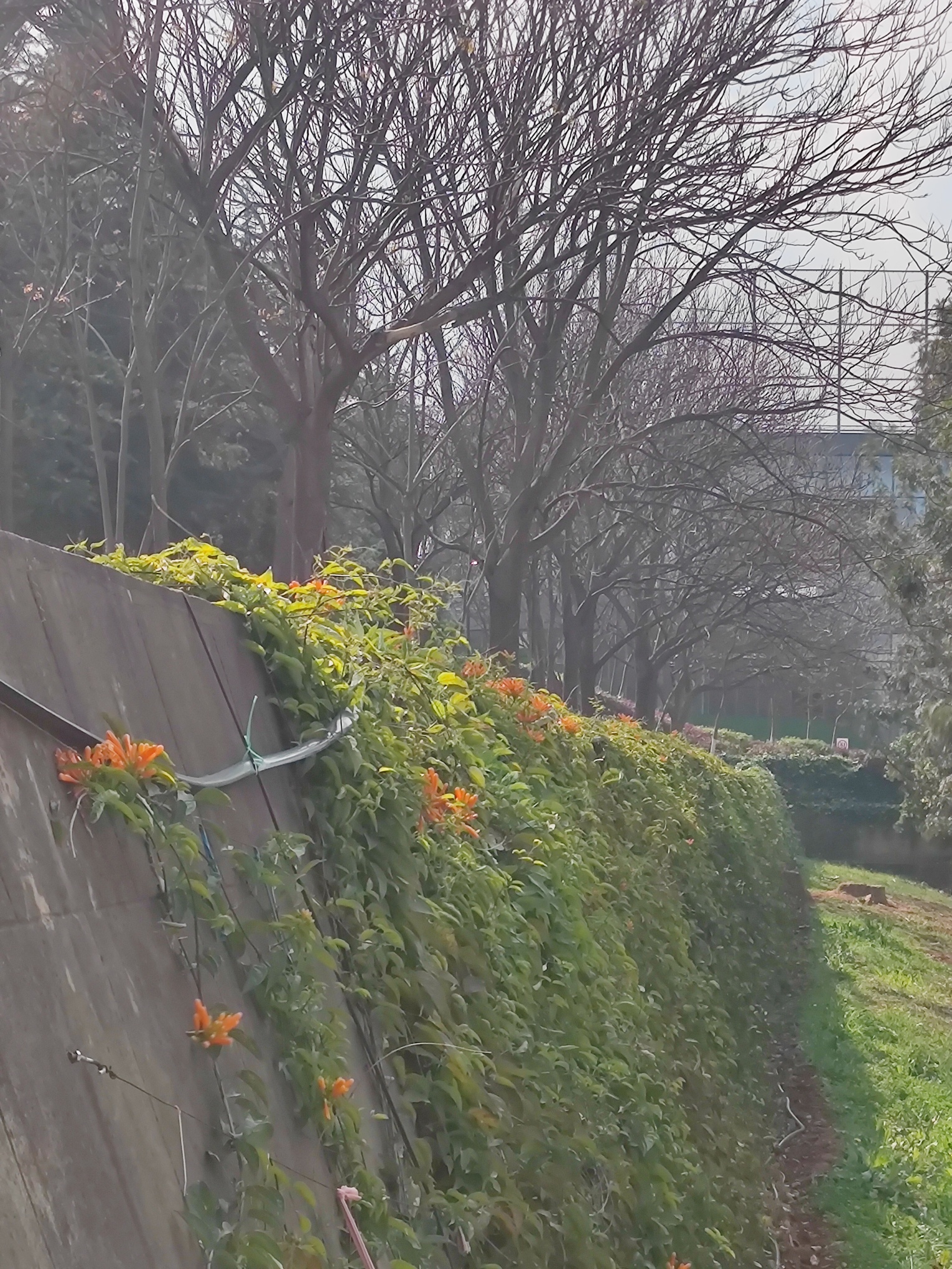 MVIMG_20250308_160617