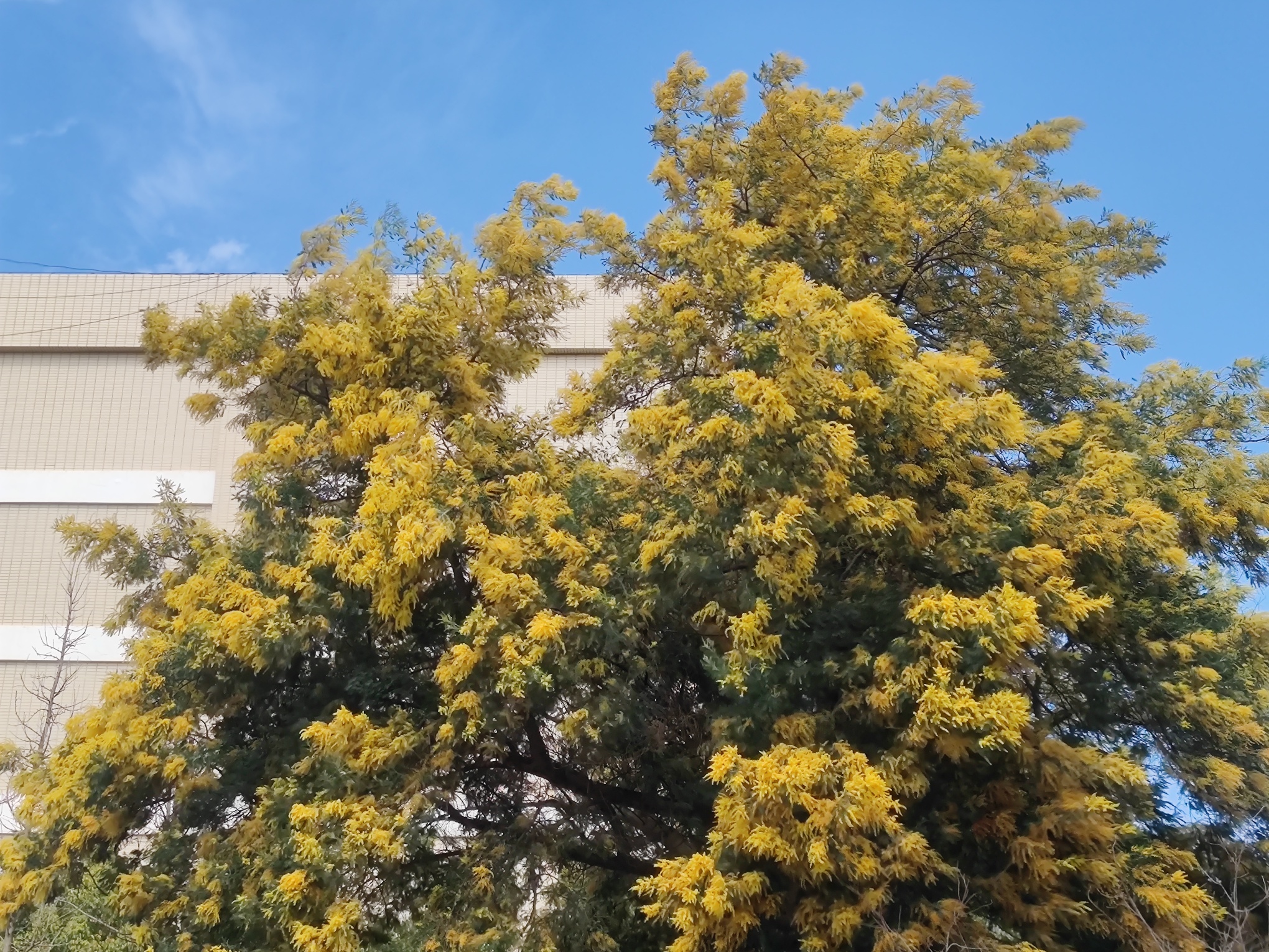 MVIMG_20250225_143828