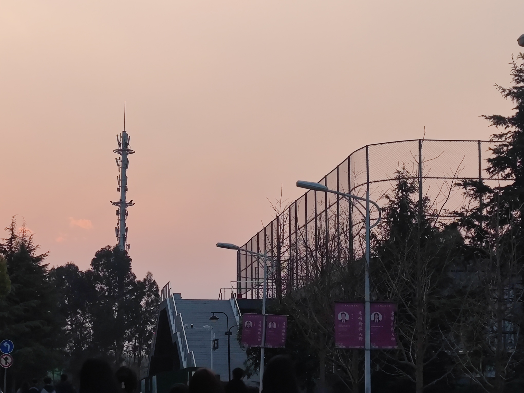 MVIMG_20250312_185832