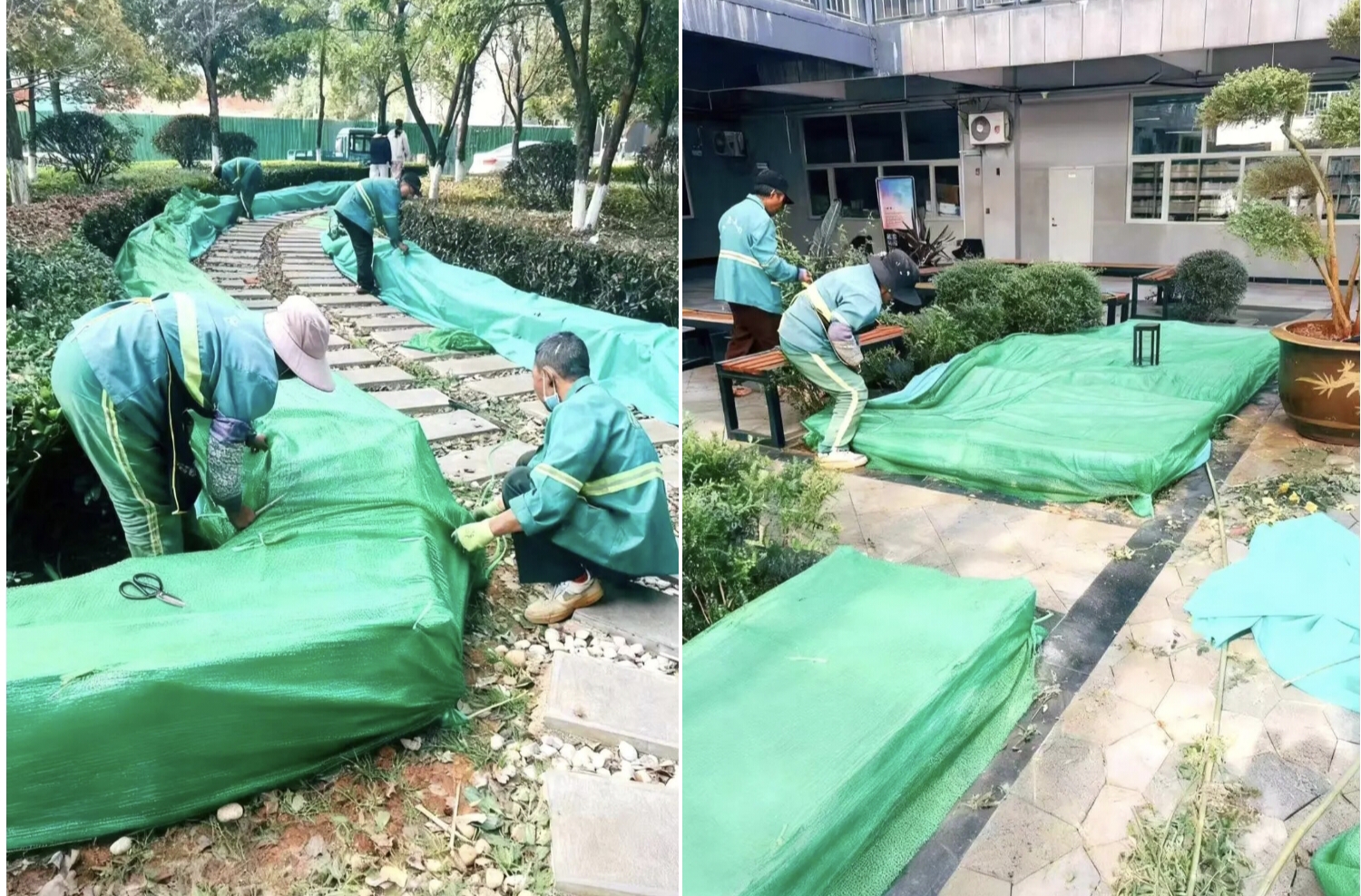 微信图片_20251204091309 微信图片_20251204091309