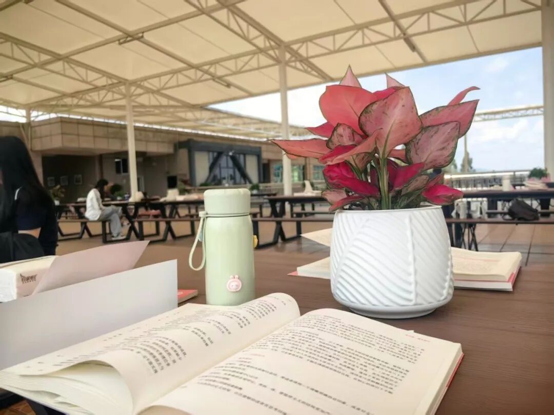 微信图片_20251204102727 微信图片_20251204102727