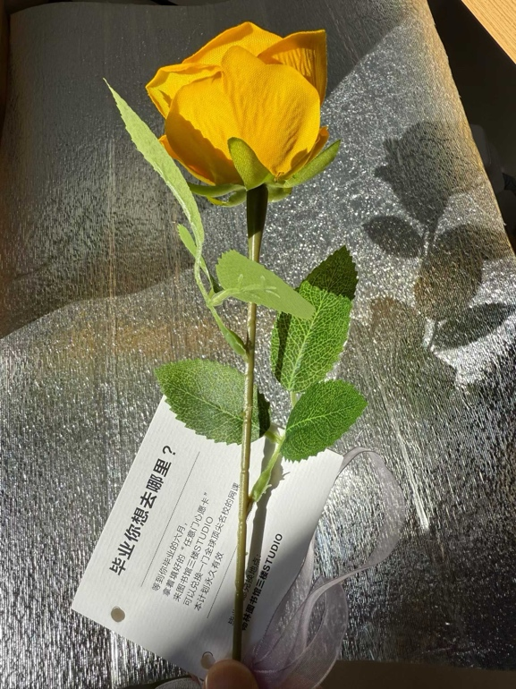 图片5_副本 图片5_副本