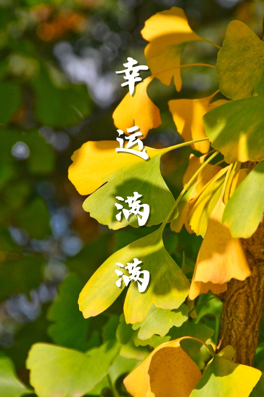 微信图片_2025-12-10_220251_807 微信图片_2025-12-10_220251_807