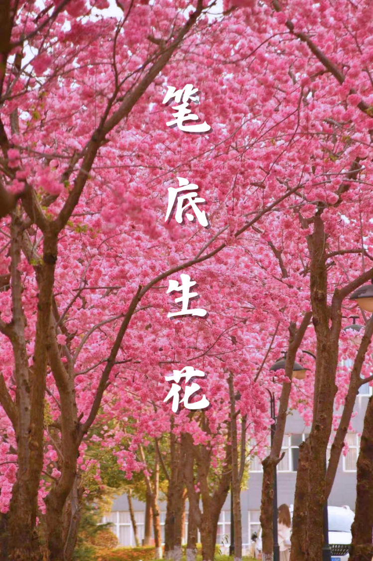 微信图片_2025-12-10_220306_312 微信图片_2025-12-10_220306_312