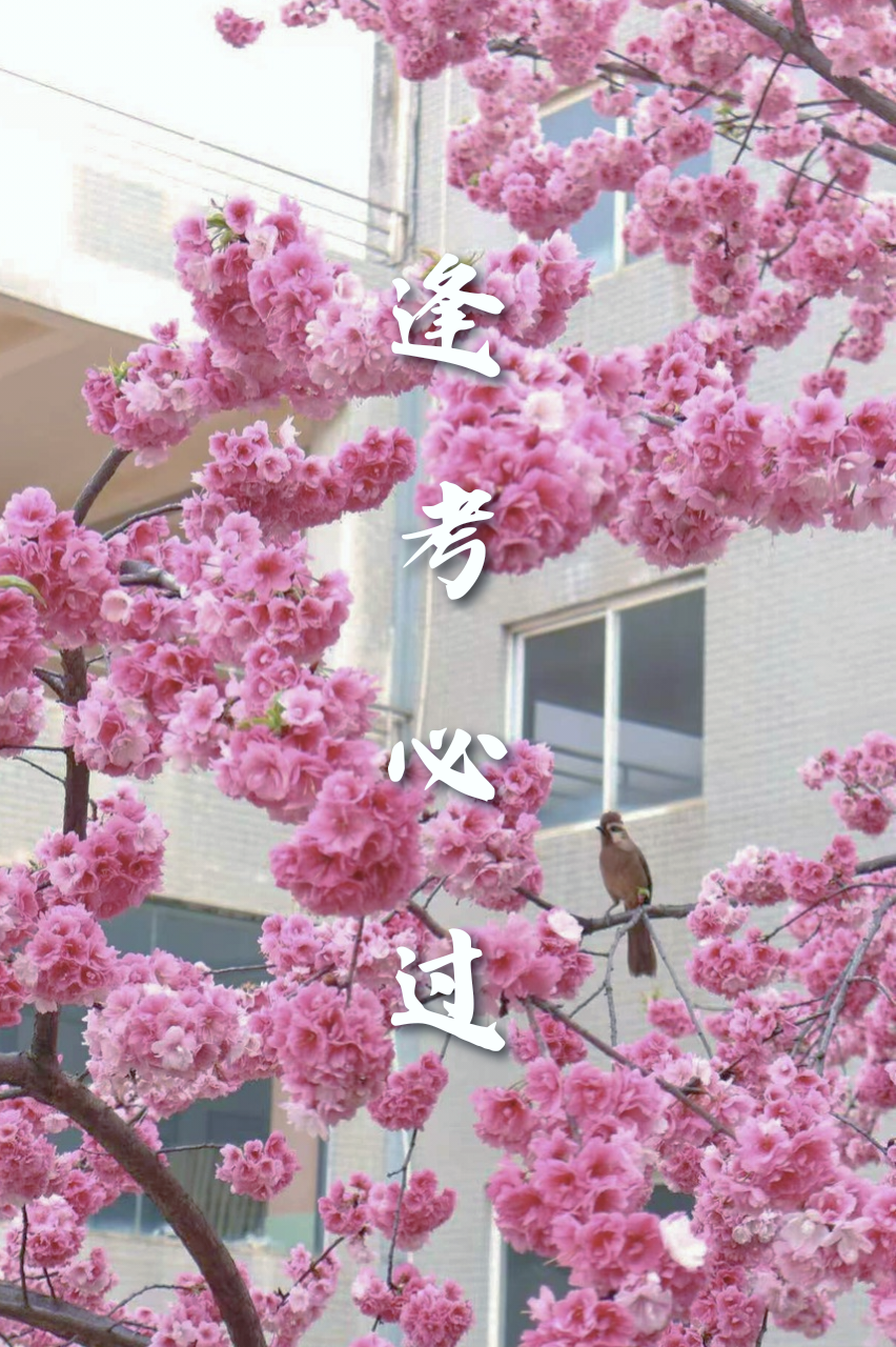 微信图片_2025-12-10_220317_958 微信图片_2025-12-10_220317_958