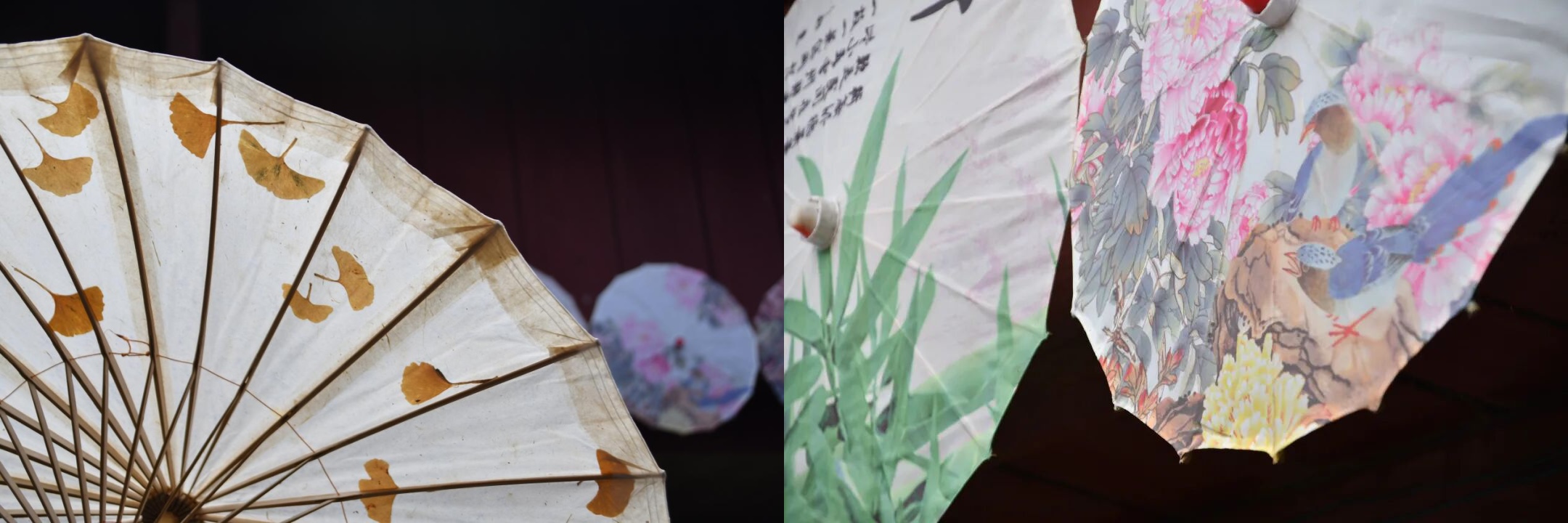 微信图片_20251214221817_428_5