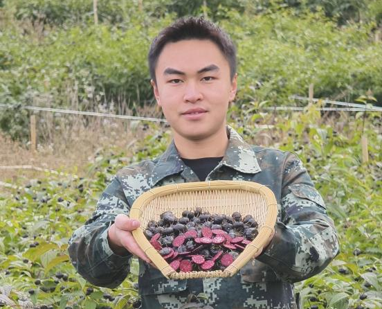 微信图片_2026-02-11_110903_375 微信图片_2026-02-11_110903_375