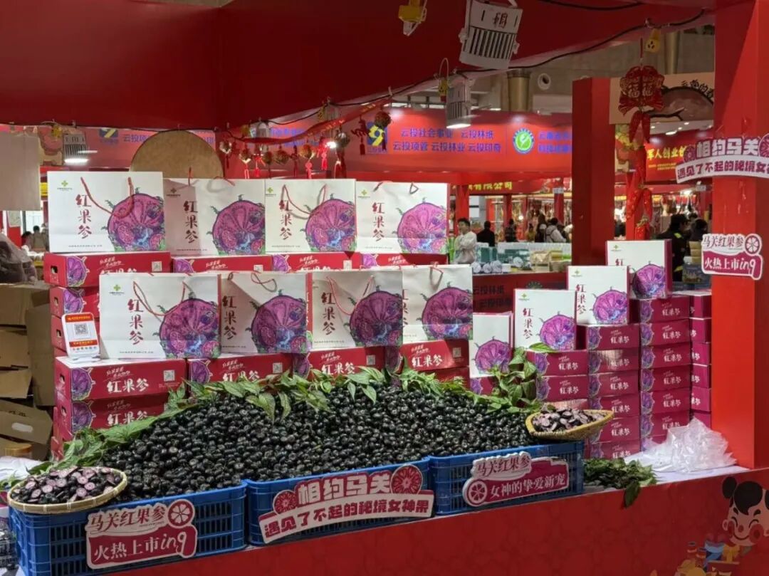 微信图片_2026-02-11_110924_365 微信图片_2026-02-11_110924_365