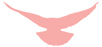 微信图片_20230322123816