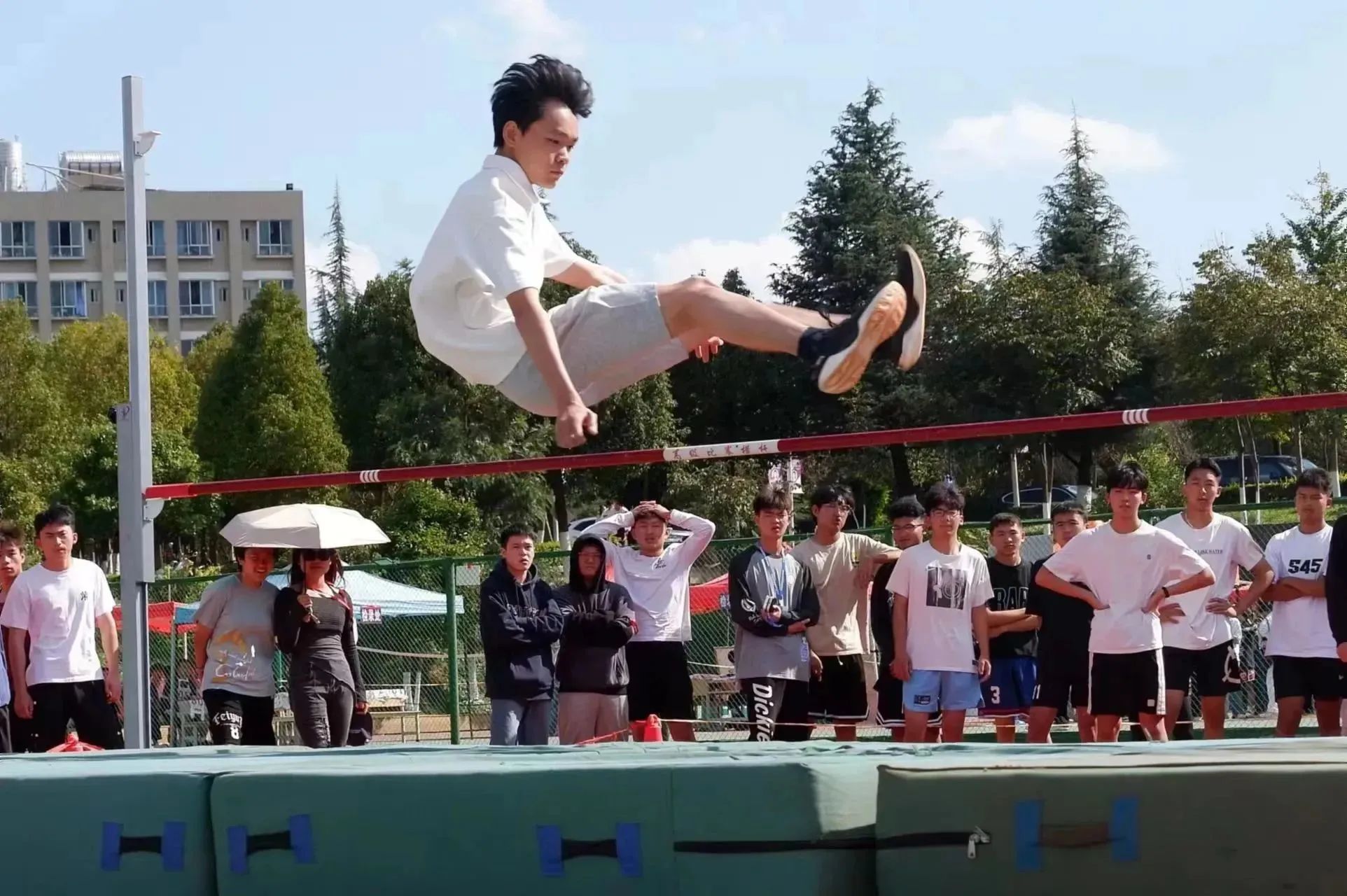 微信图片_20231111212514