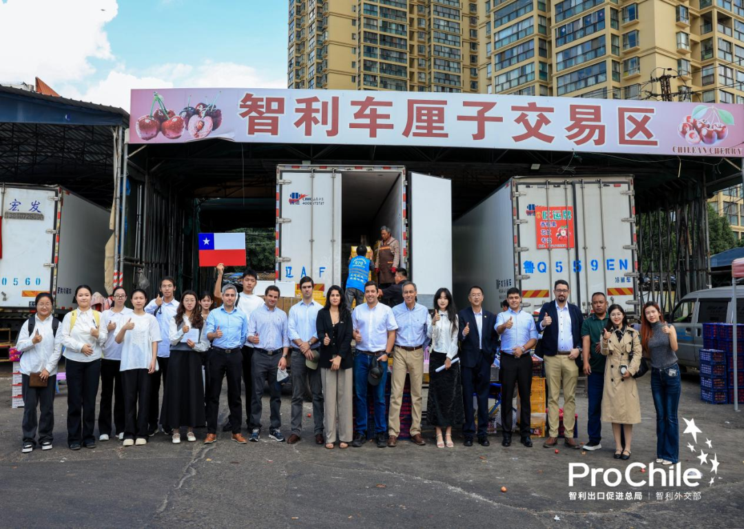 2025“智利－中国（云南）经贸合作与交流会”志愿服务工作4