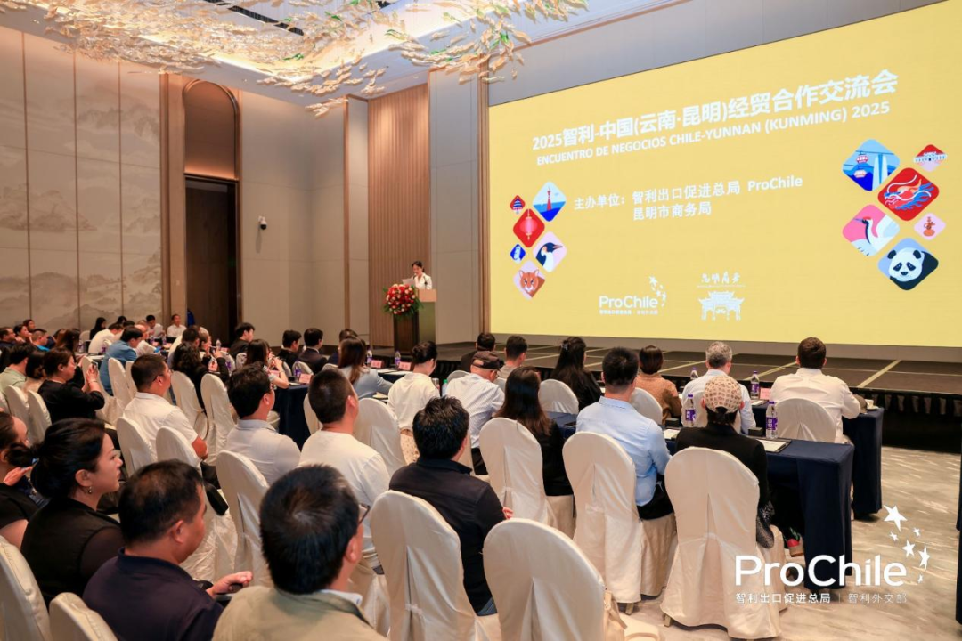 2025“智利－中国（云南）经贸合作与交流会”志愿服务工作7
