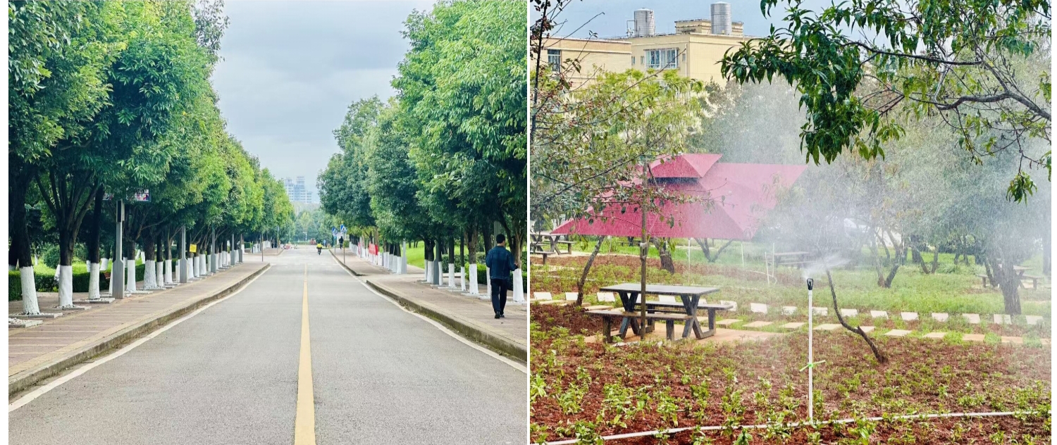 微信图片_20251106110430 微信图片_20251106110430