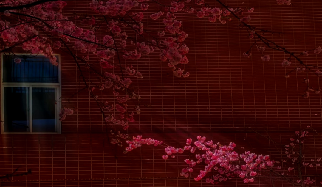 微信图片_20251117172356