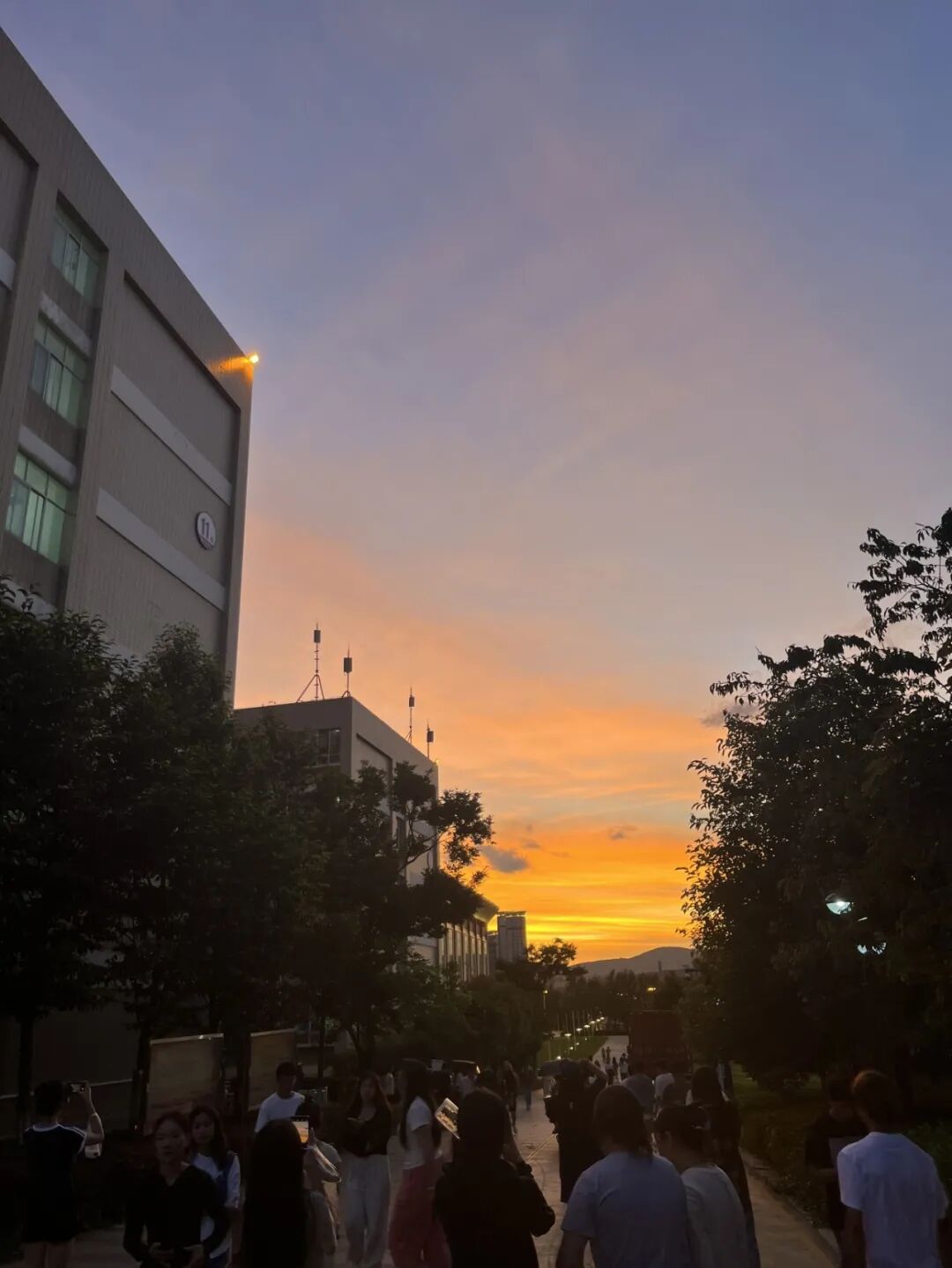 微信图片_20251117172412