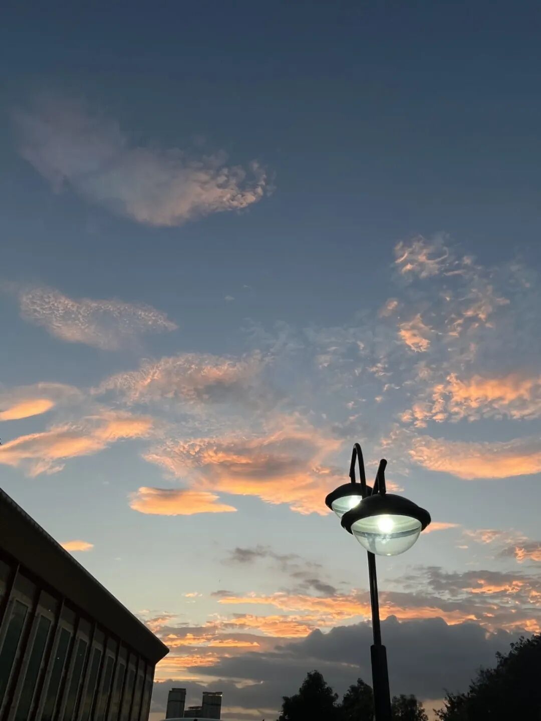 微信图片_20251117172415