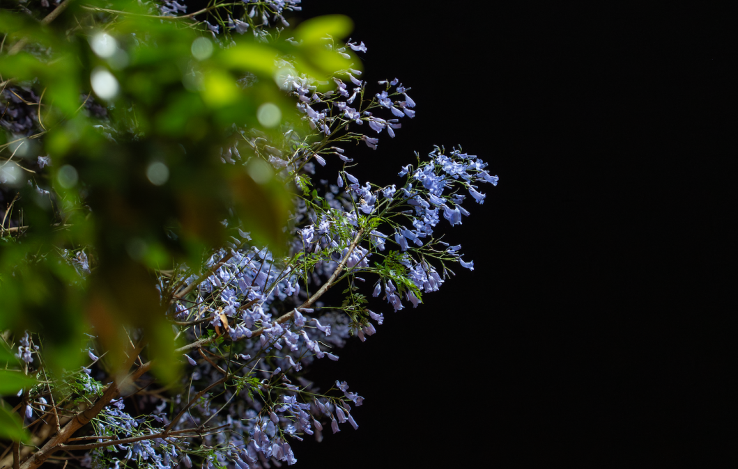 微信图片_20251117172358