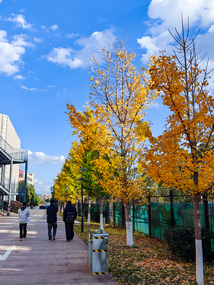 微信图片_20251117172401(1)