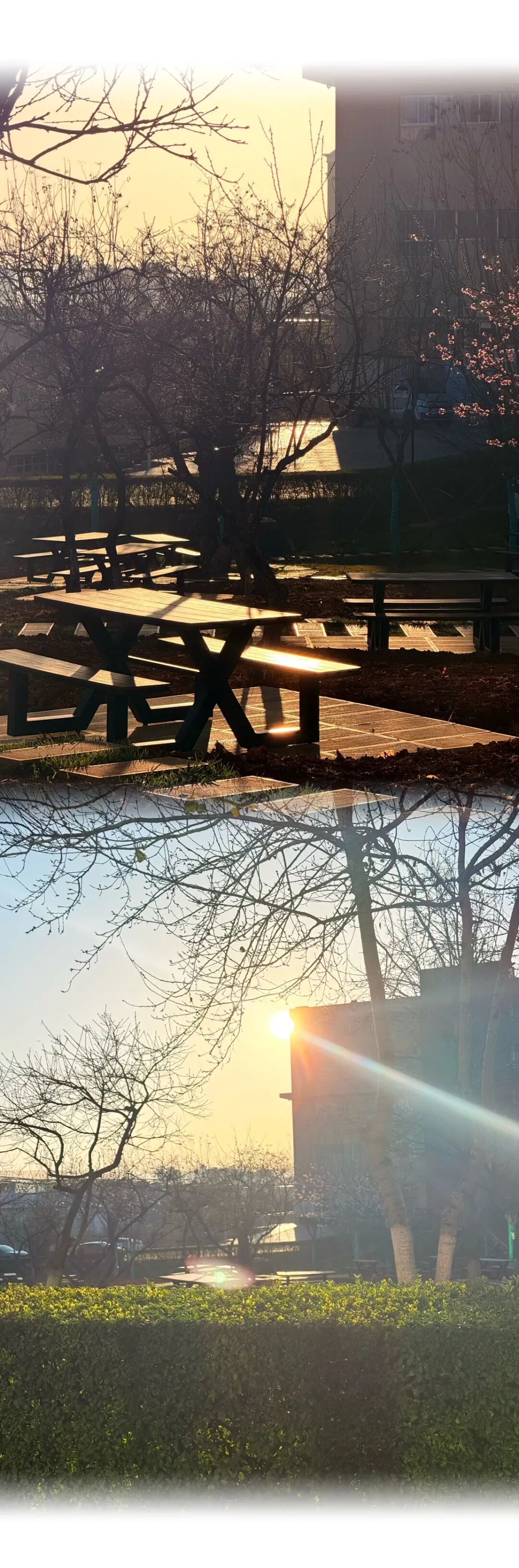 微信图片_20251117173411 微信图片_20251117173411