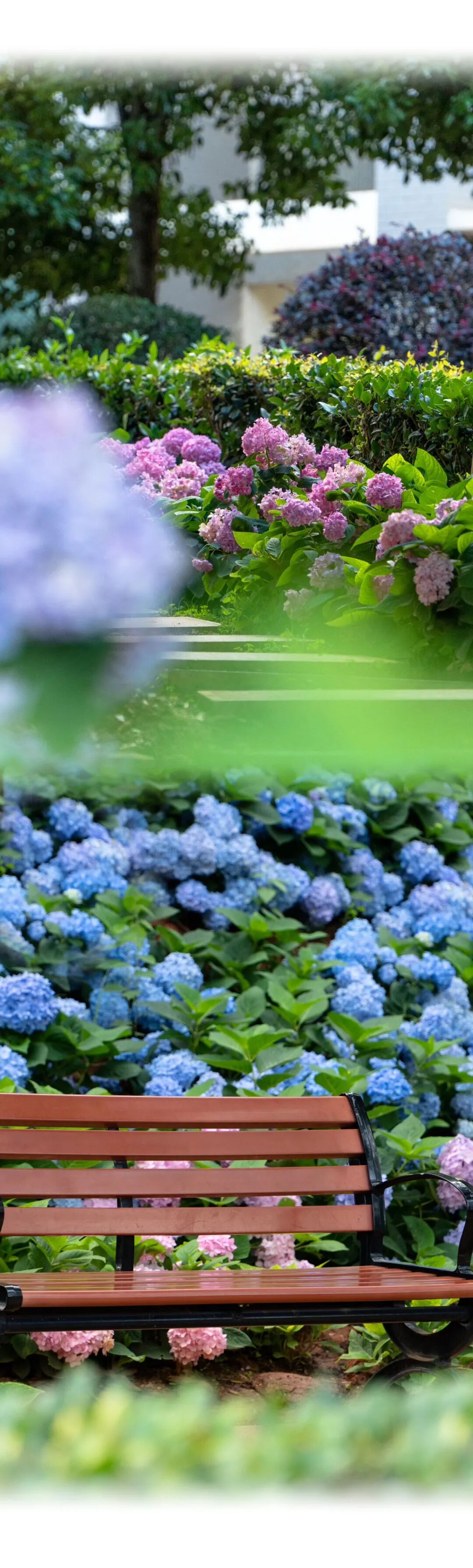 微信图片_20251117173402 微信图片_20251117173402